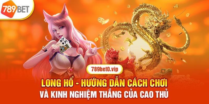 Long Hổ - Hướng Dẫn Cách Chơi Và Kinh Nghiệm Thắng Của Cao Thủ